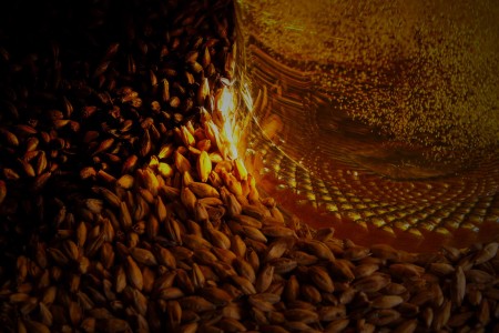 Comment fermenter la bière