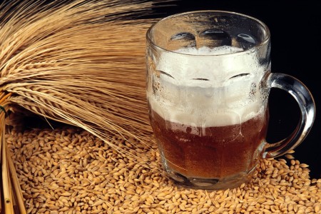 Fabrication de bière, maltage de l'orge